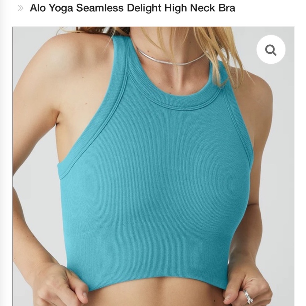 Alo Seamless Delight High Neck Bra